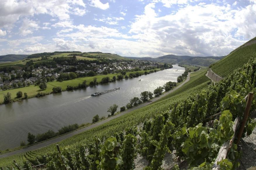 Апартаменти Weingut Fehres Браунеберґ Екстер'єр фото